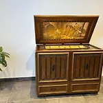 Frana Fieberbrunn