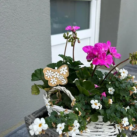 Apartman Frana Fieberbrunn